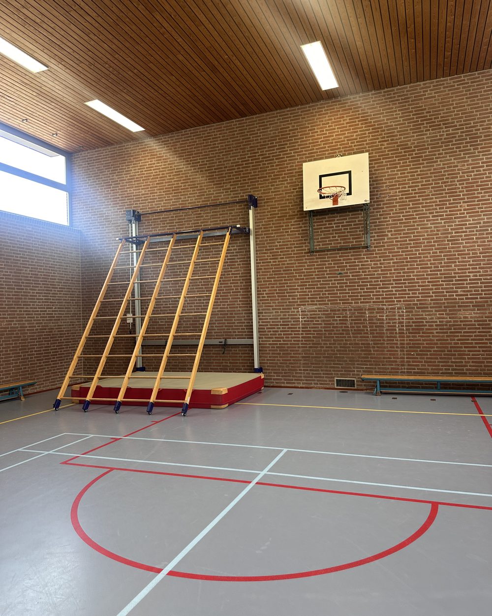 Doelgerichte bewegingseducatie bij Veilige Haven